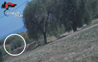 Alba Adriatica - Sotterravano cocaina nei campi: 2 kg sequestrati e 5 albanesi in carcere